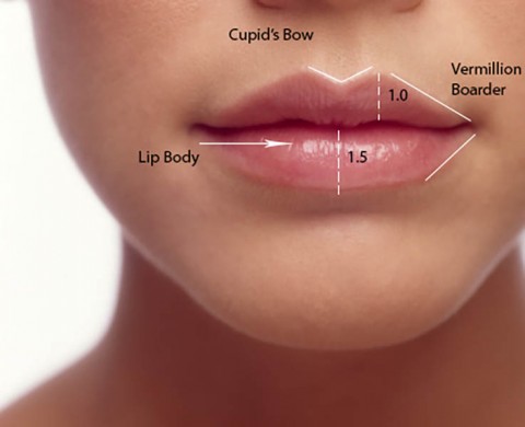 Perfect Lips -